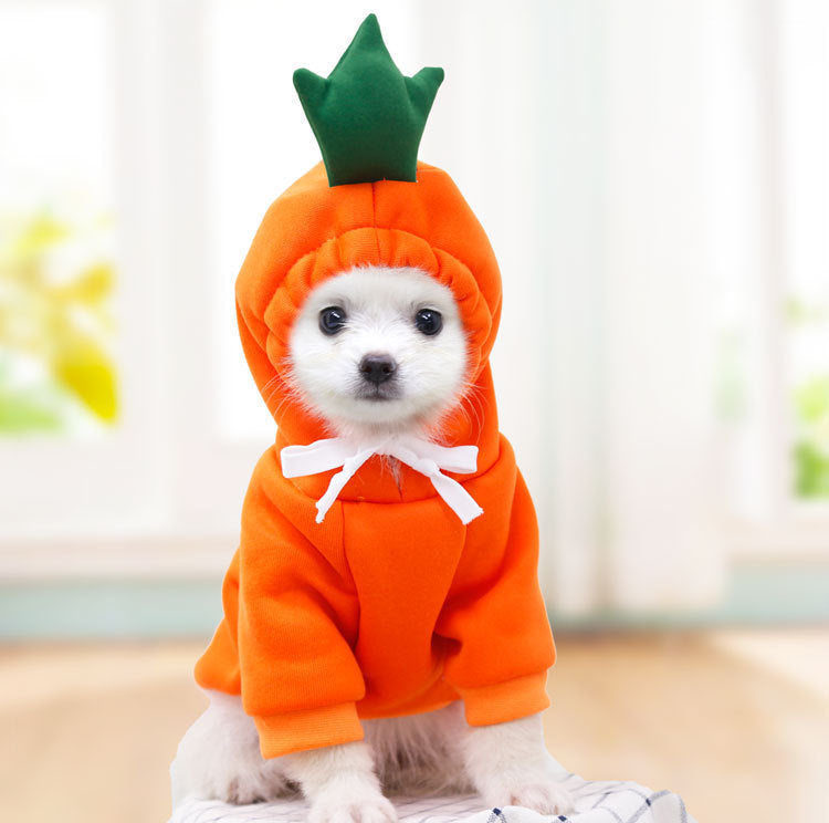 Cute Fruit Dog Hoodie – Warm Fleece Winter Clothes for Small Dogs & Cats