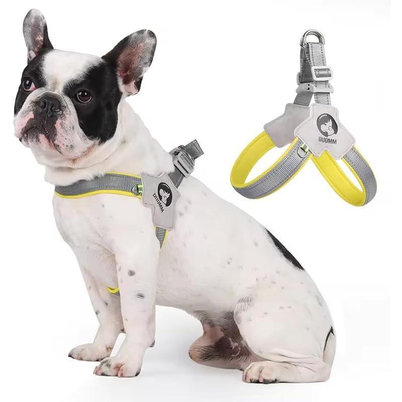 No-Pull Pet Harness with Leash Set – Adjustable Reflective Dog & Cat Harness for Walking & Training