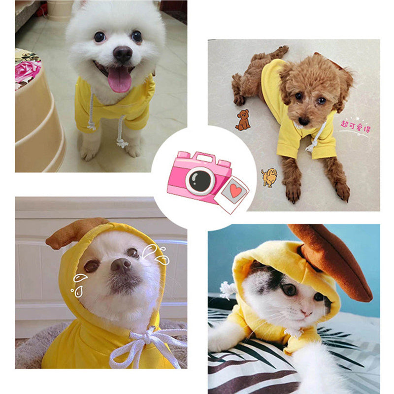 Cute Fruit Dog Hoodie – Warm Fleece Winter Clothes for Small Dogs & Cats